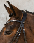 Schockemohle Brantford Anatomical Bridle, Black/Silver