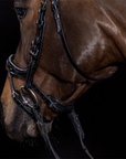 Schockemohle Equitus Beta Glam Anatomical Special Bridle, Black Patent/Silver
