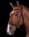 Schockemohle Equitus Theta Anatomical Special Bitless Bridle, Black/Silver