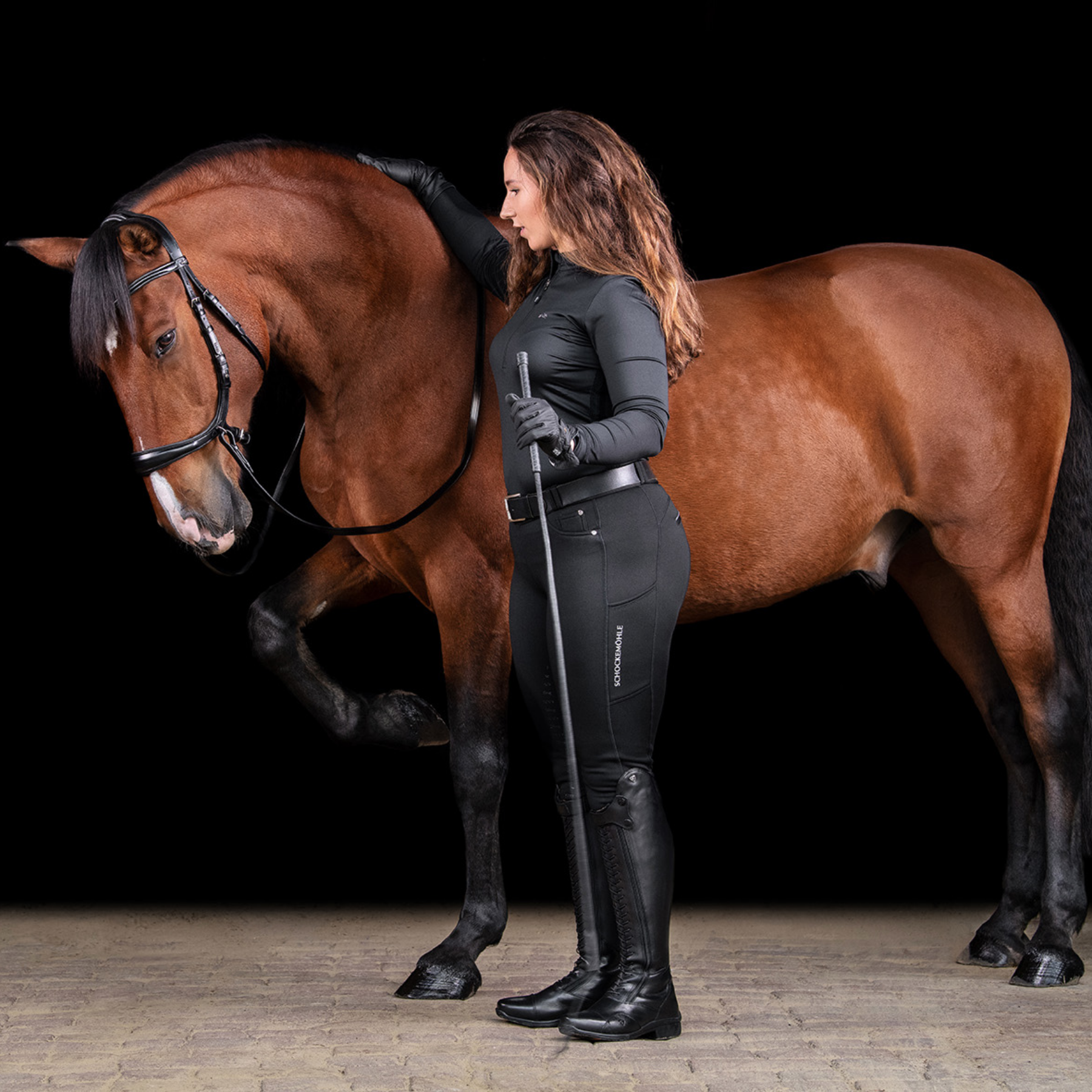 Schockemohle Equitus Theta Anatomical Special Bitless Bridle Espresso Schockemohle Equitus Theta Anatomical Special Bitless Bridle Espresso
