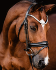 Schockemohle Isabell Werth Johnny Bridle, Black/Silver