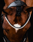 Schockemohle Isabell Werth Johnny Bridle, Black/Silver