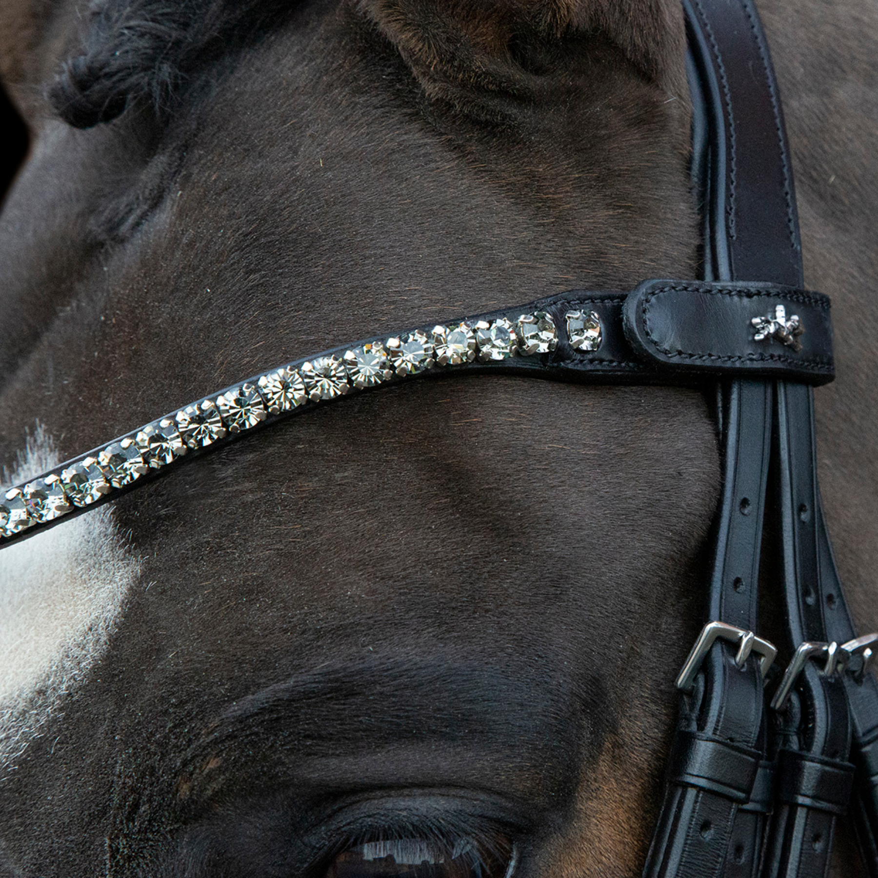 Schockemohle Milazzo Double Bridle, Black Patent/Gray – Dapper Horse