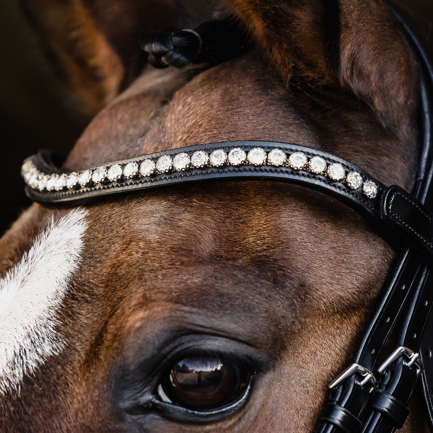 Schockemohle Palermo/Pisa Snap On Browband, Black/Crystal