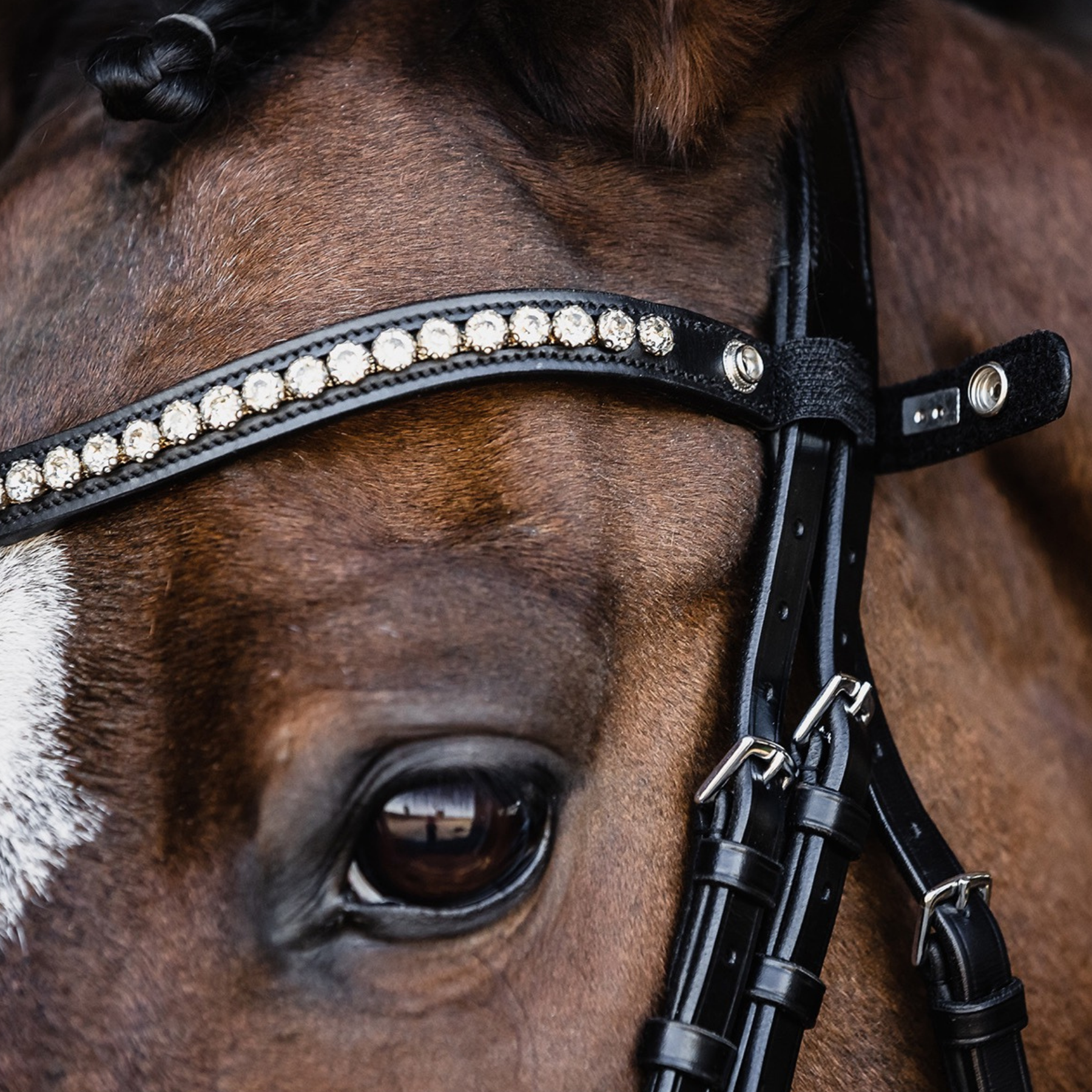 Schockemohle Palermo/Pisa Snap On Browband, Black/Crystal