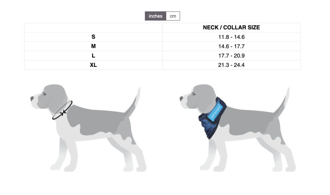 Back on Track Cool on Track Bandana, Blue