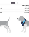 Back on Track Cool on Track Bandana, Blue