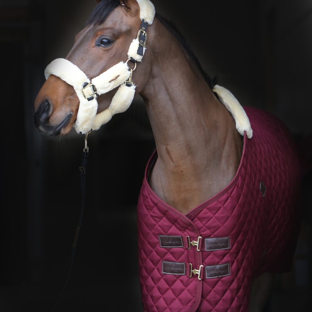 Kenbtucky Horsewear Stable Rug, 400g, Bordeaux