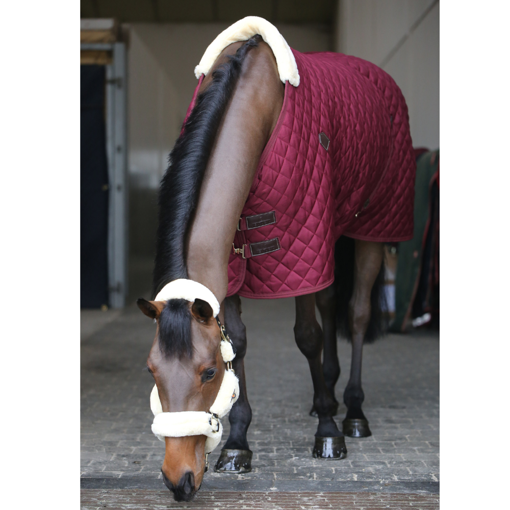 Kenbtucky Horsewear Stable Rug, 400g, Bordeaux