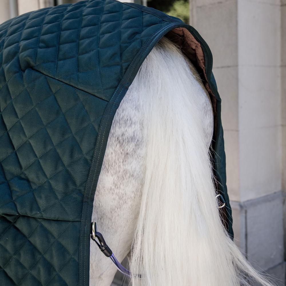 Kenbtucky Horsewear Stable Rug, 400g, Dark Green