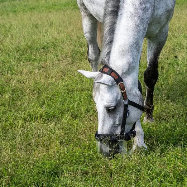 ThinLine Flexible Filly Slow Feed Grazing Muzzle