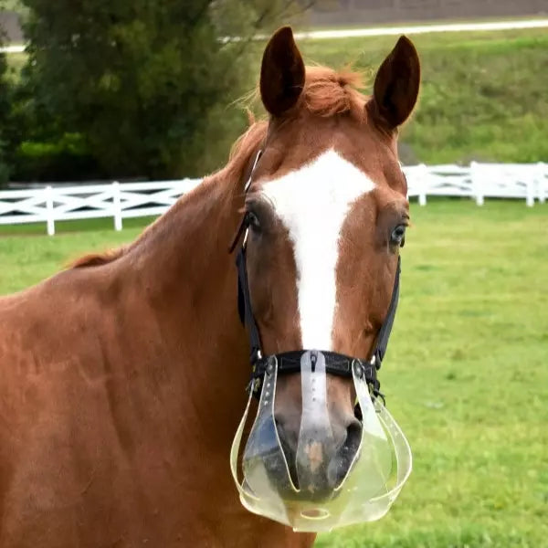ThinLine Flexible Filly Slow Feed Grazing Muzzle
