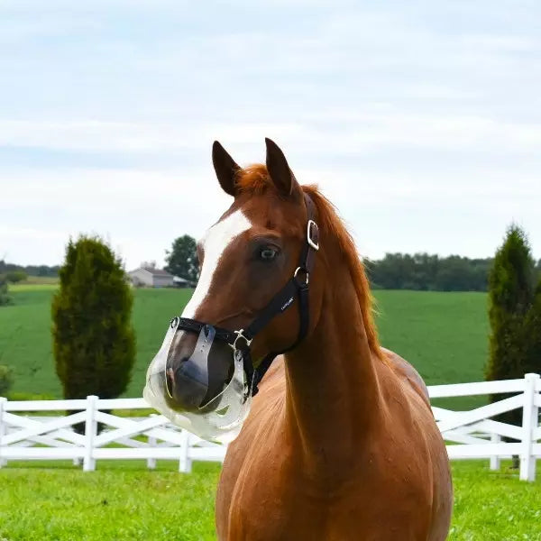 ThinLine Flexible Filly Slow Feed Grazing Muzzle
