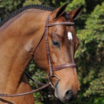 ADT Tack Tribute Hunter Bridle w/Raised Fancy Laced Reins, Brown