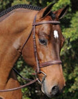 ADT Tack Tribute Hunter Bridle w/Raised Fancy Laced Reins, Brown