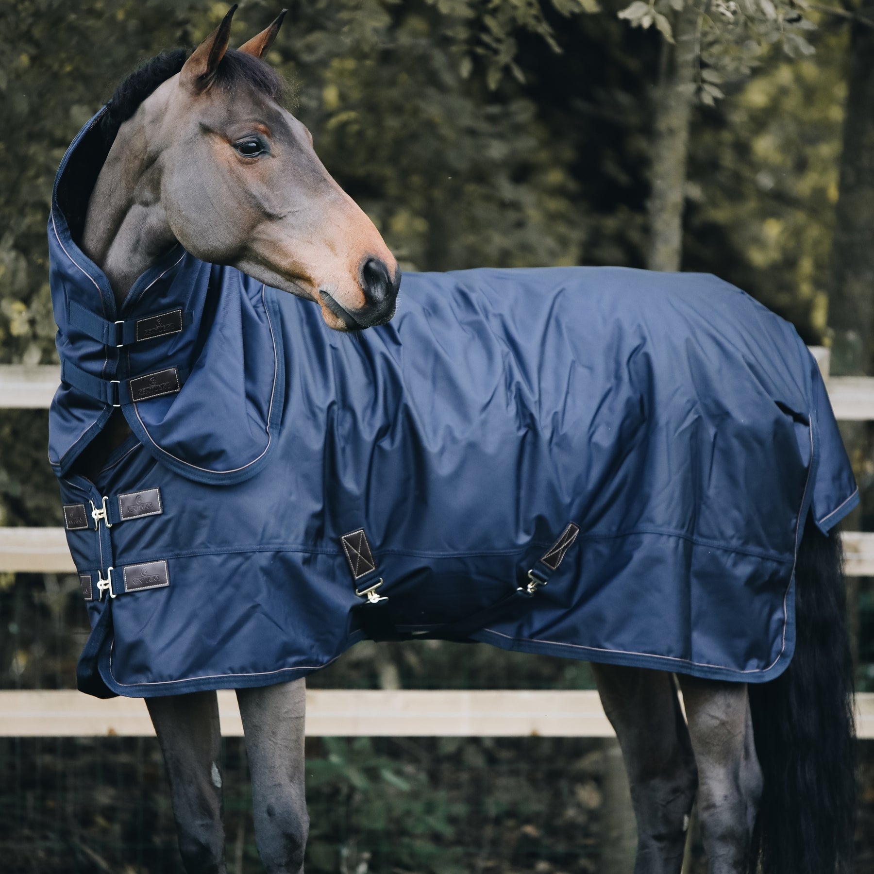 Kentucky Horsewear Turnout Rug All Weather Waterproof, 0g