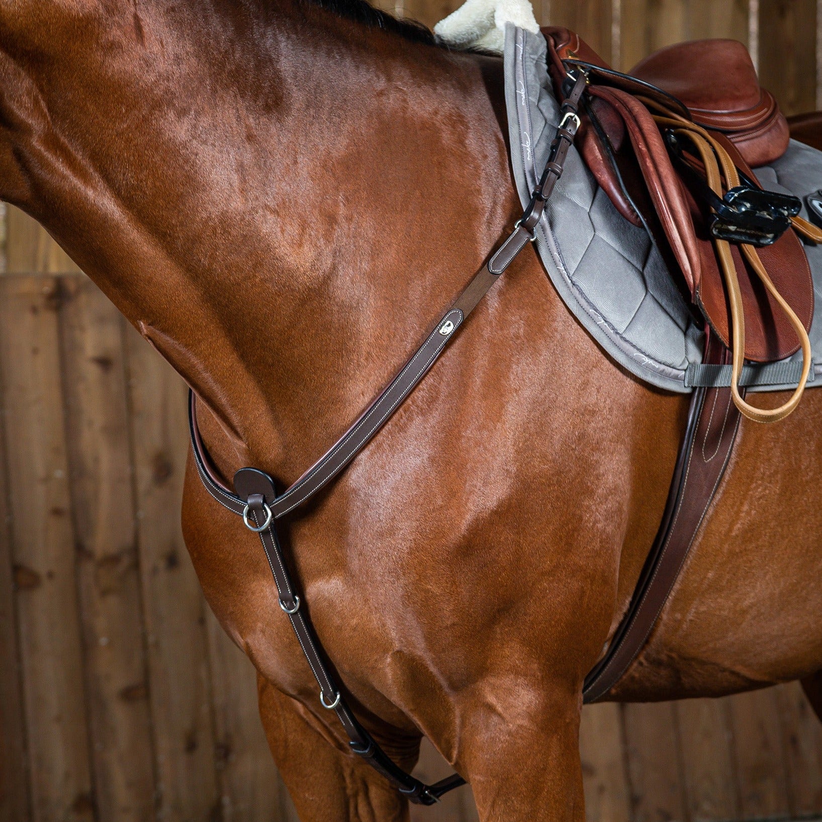 Dy'on Breastplate, Brown, Working By Dyon