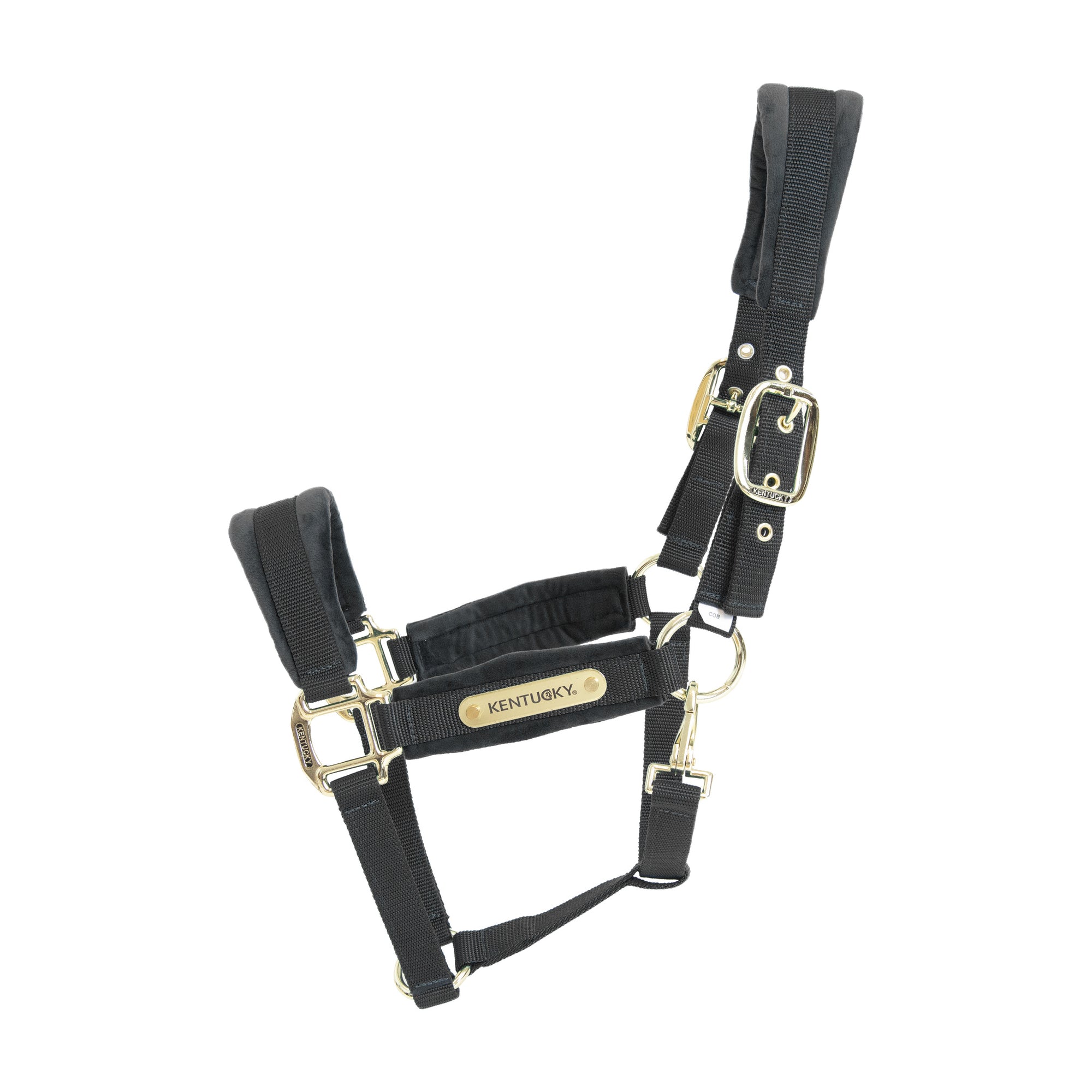 Kentucky Horsewear Velvet Halter, Black