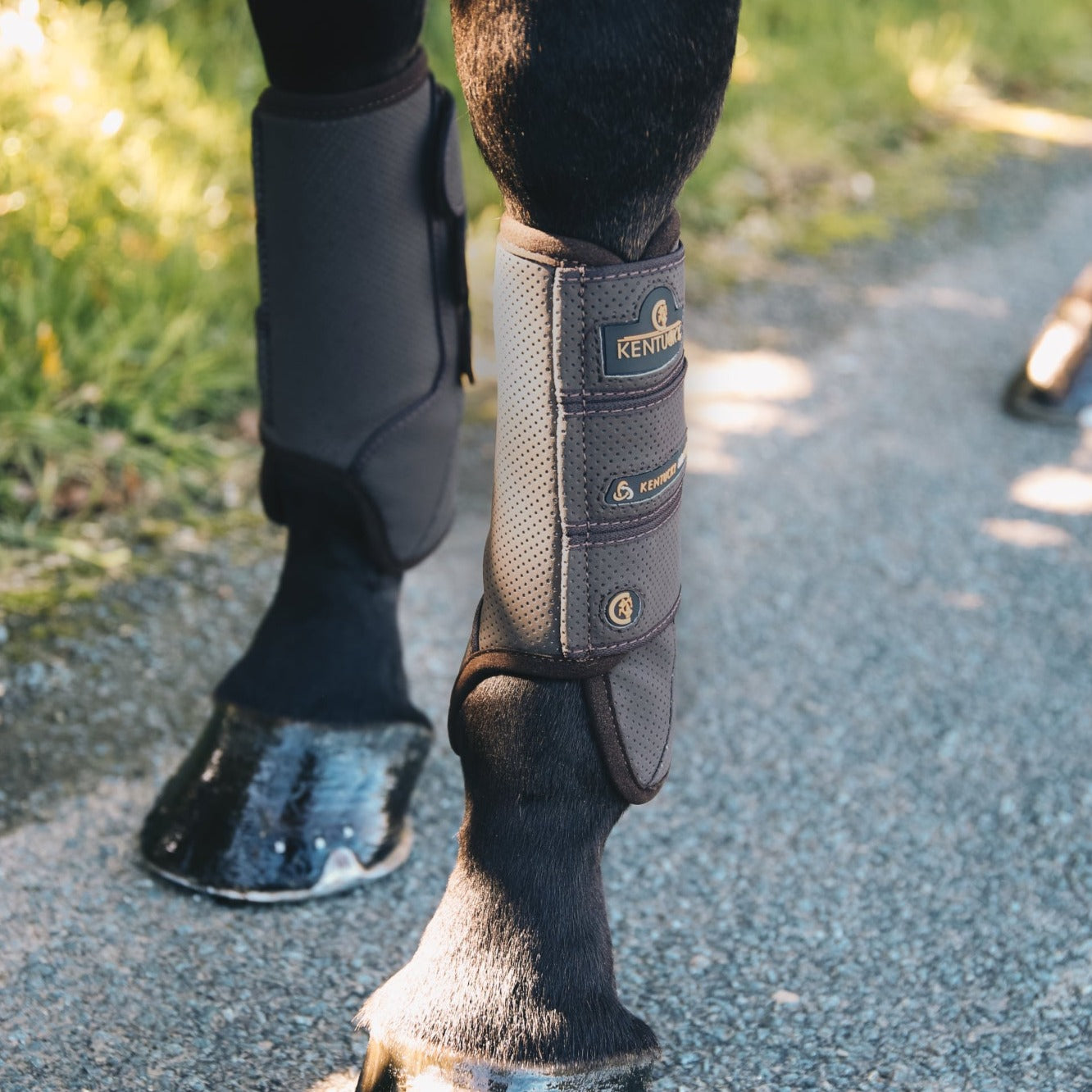 Kentucky Horsewear Eventing Boot Air Tech Front, Brown