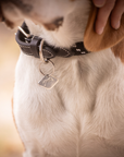 Pénélope Billie Dog Collar, Black