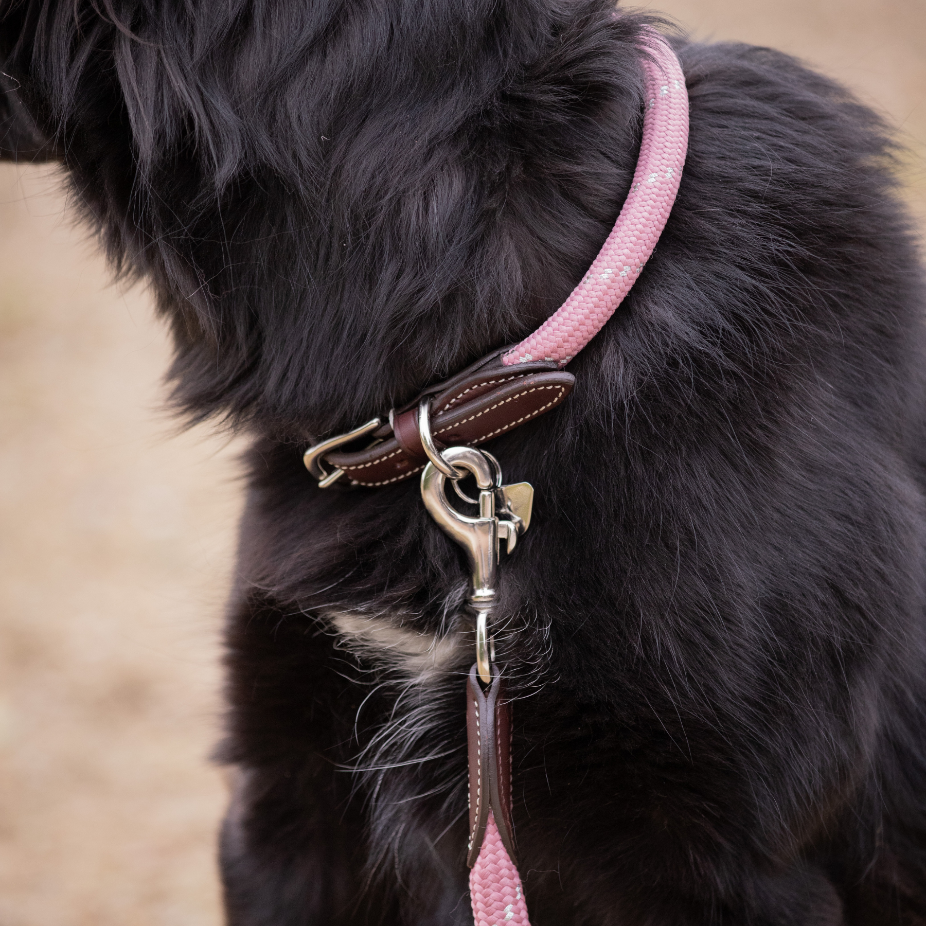 Pénélope Billie Dog Collar, Pink