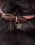 Pénélope Billie Dog Collar, Pink