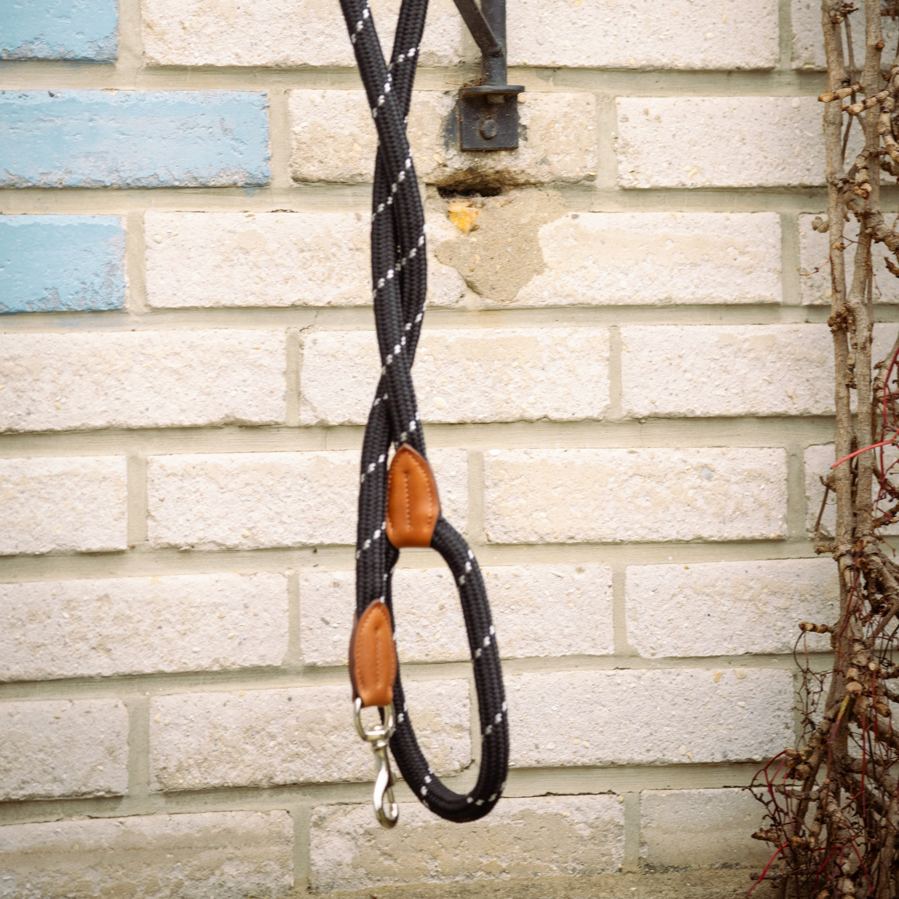Pénélope Billie Dog Leash, Black
