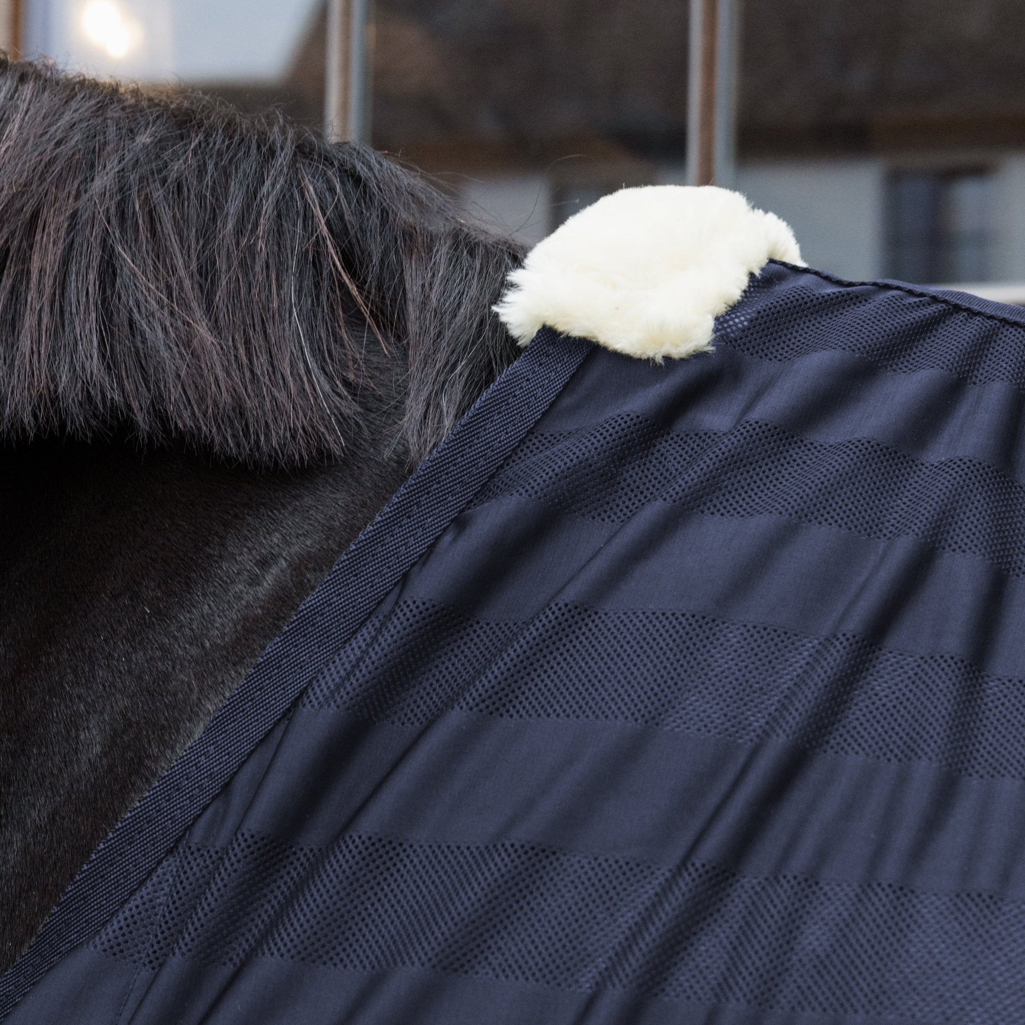 Kentucky Horsewear Light Striped Mesh Fly Sheet, Navy