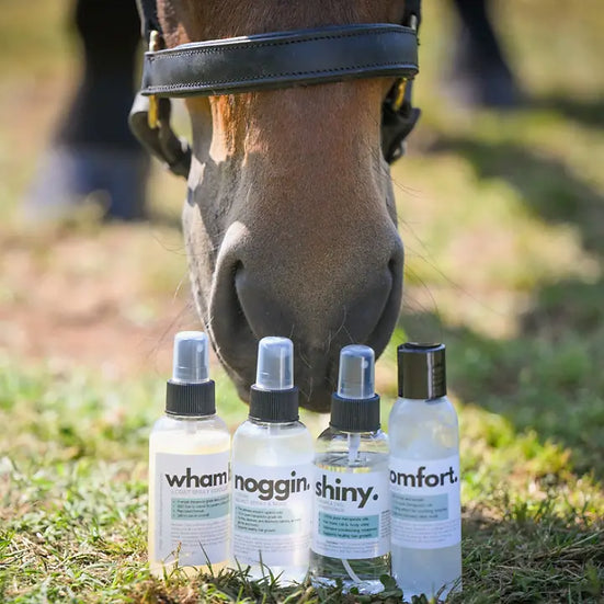 The Infused Equestrian Infusion Starter Set