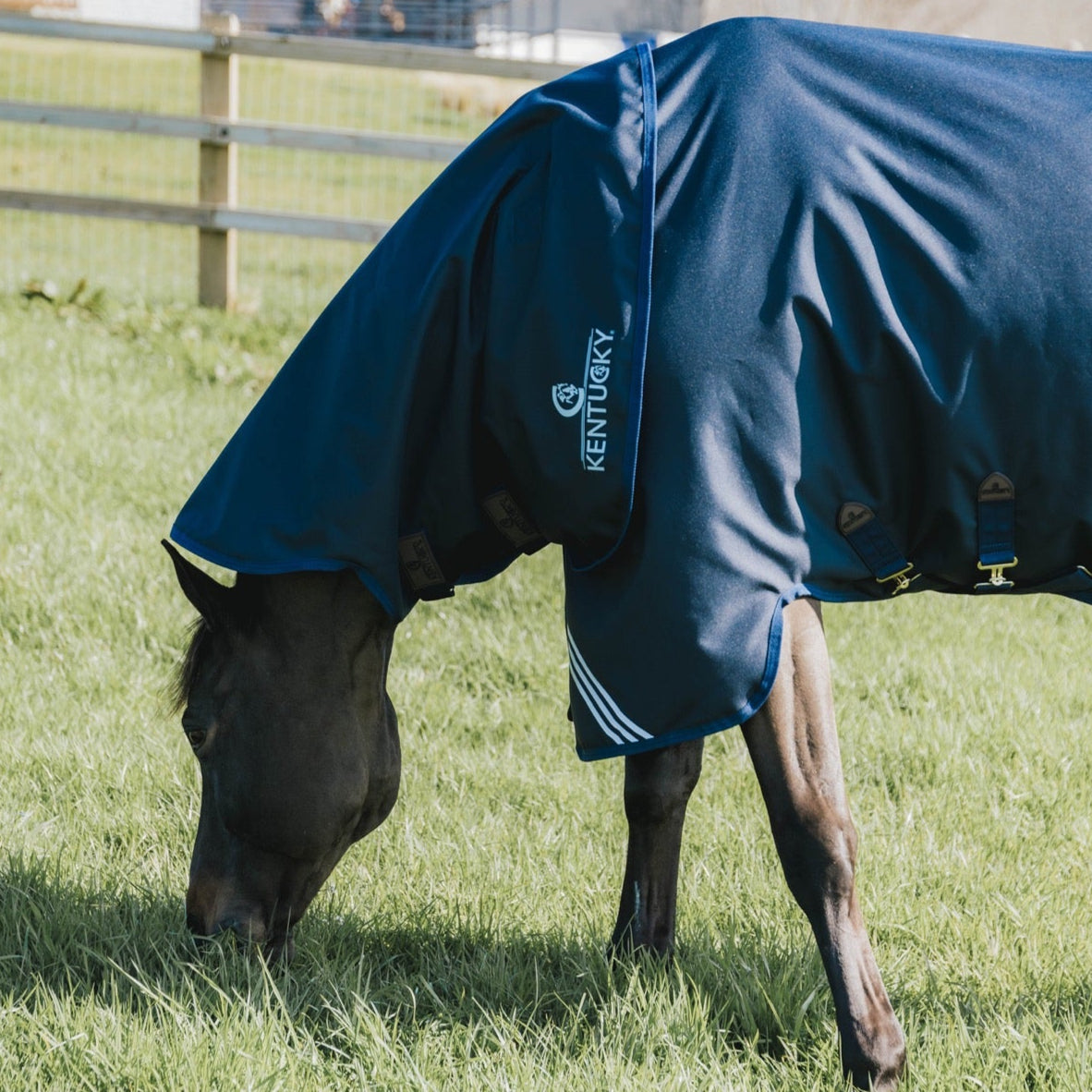 Kentucky Horsewear Neck All Weather Waterproof Comfort, 0g
