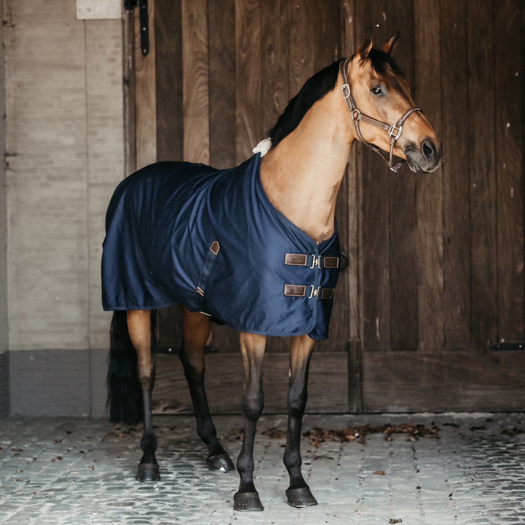 Kentucky Horsewear Cotton Blanket