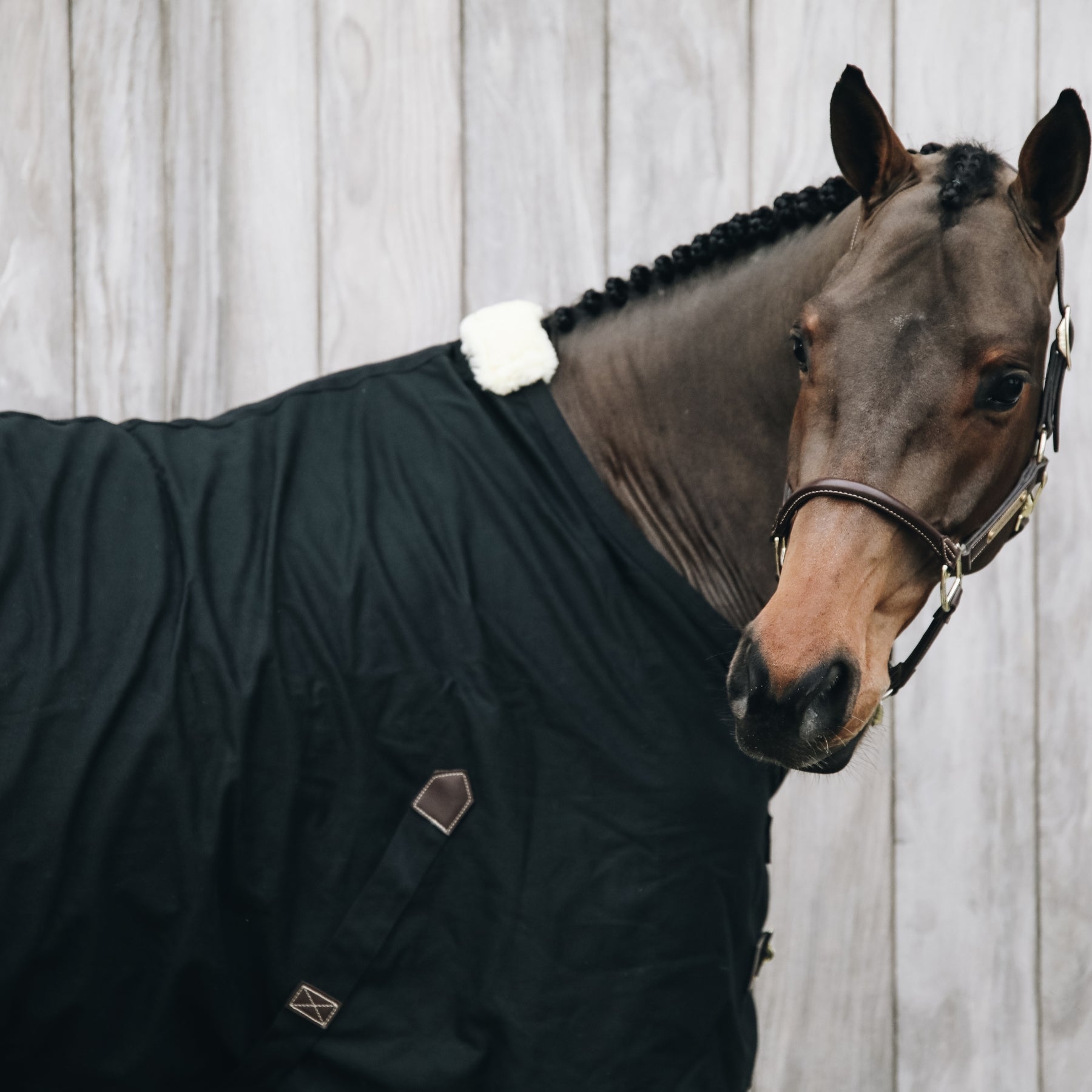 Kentucky Horsewear Cotton Blanket