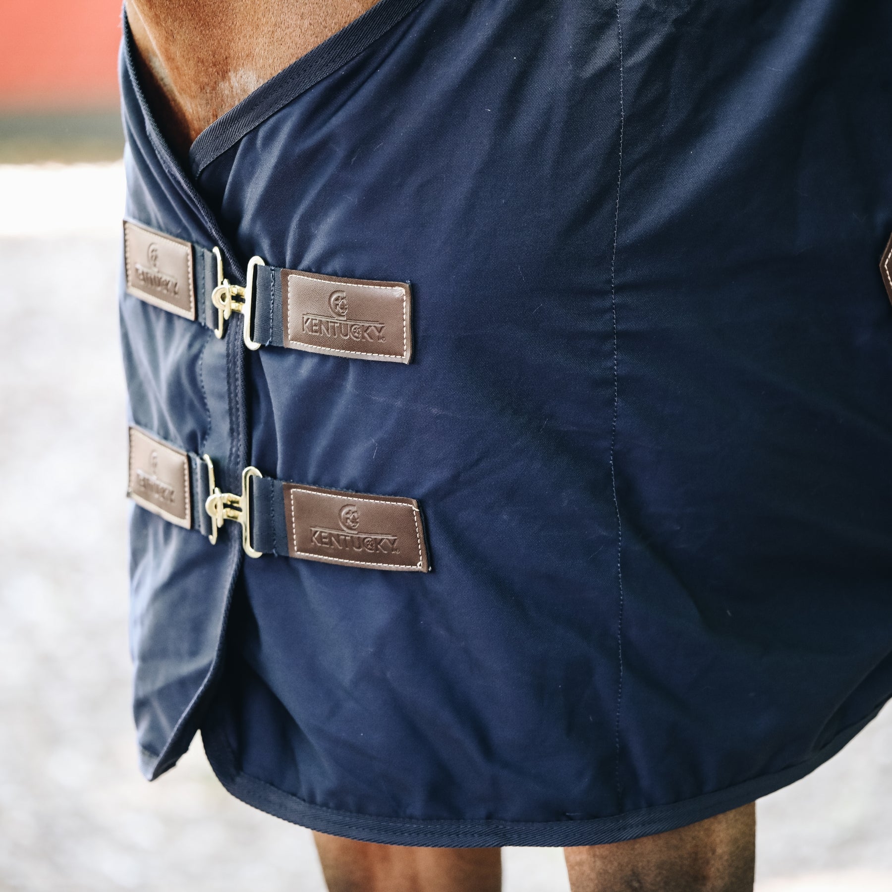 Kentucky Horsewear Cotton Blanket
