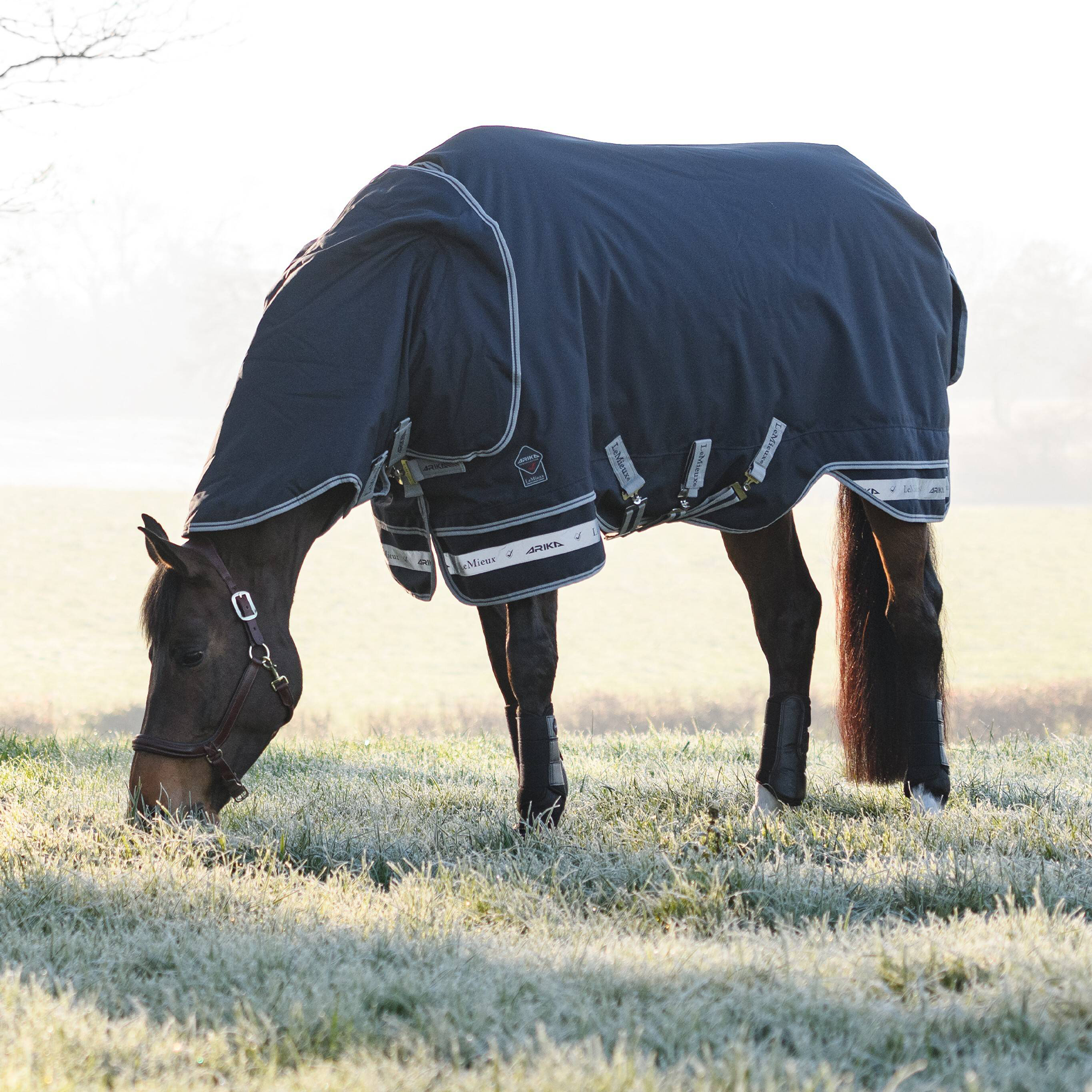 LeMieux Arika Storm-Tek Rug 100g, Navy