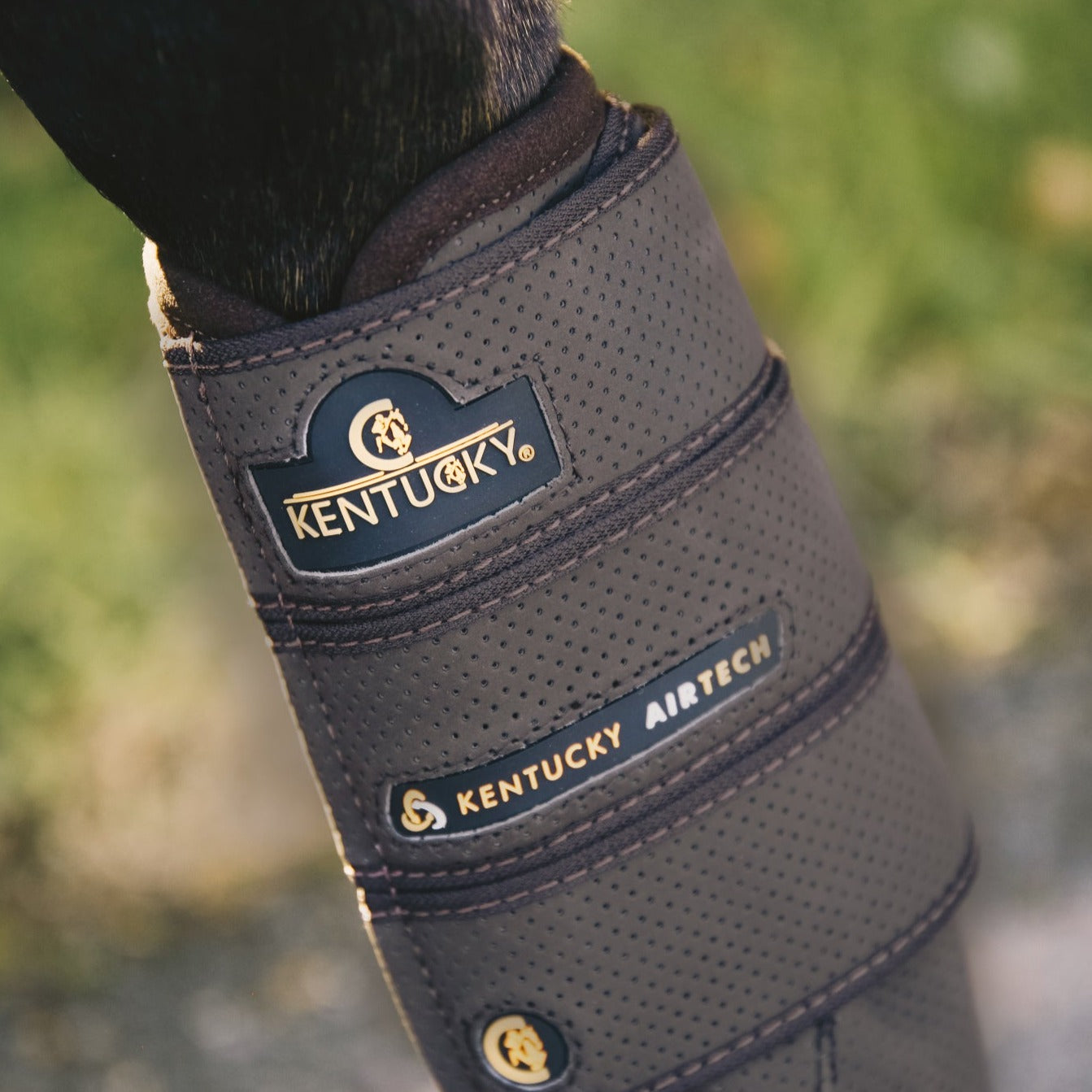 Kentucky Horsewear Eventing Boot Air Tech Front, Brown