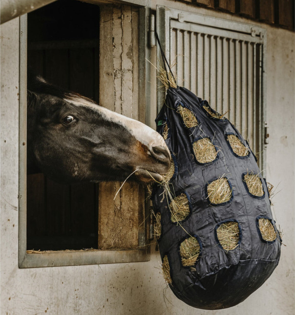 Hippotonic Hay Bag with Holes