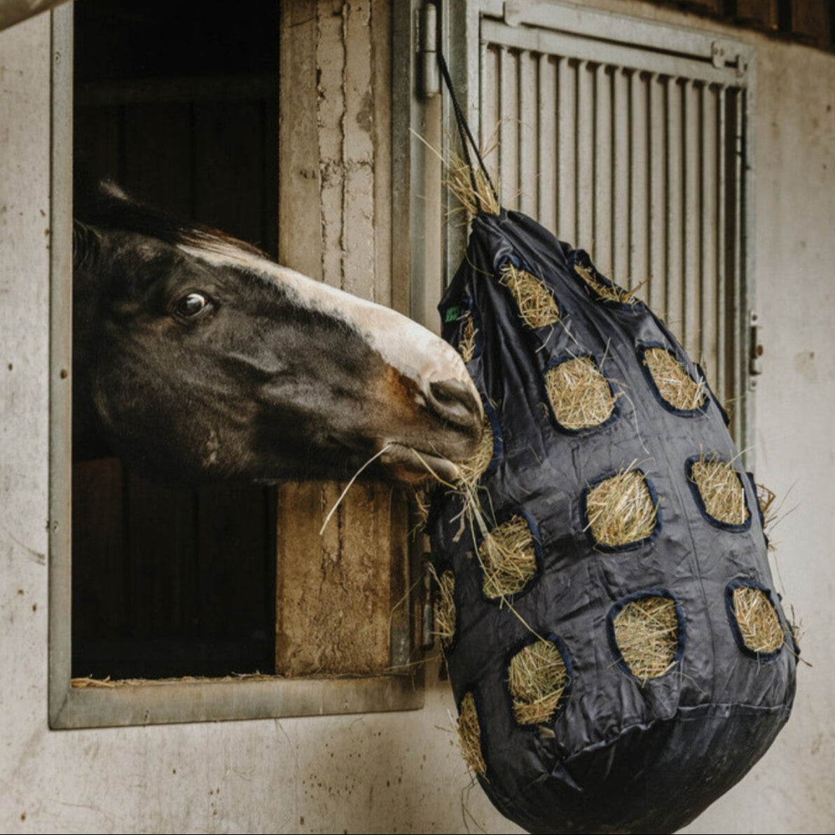 Hippotonic Hay Bag with Holes