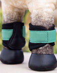 LeMieux Toy Pony Grafter Boots, Evergreen
