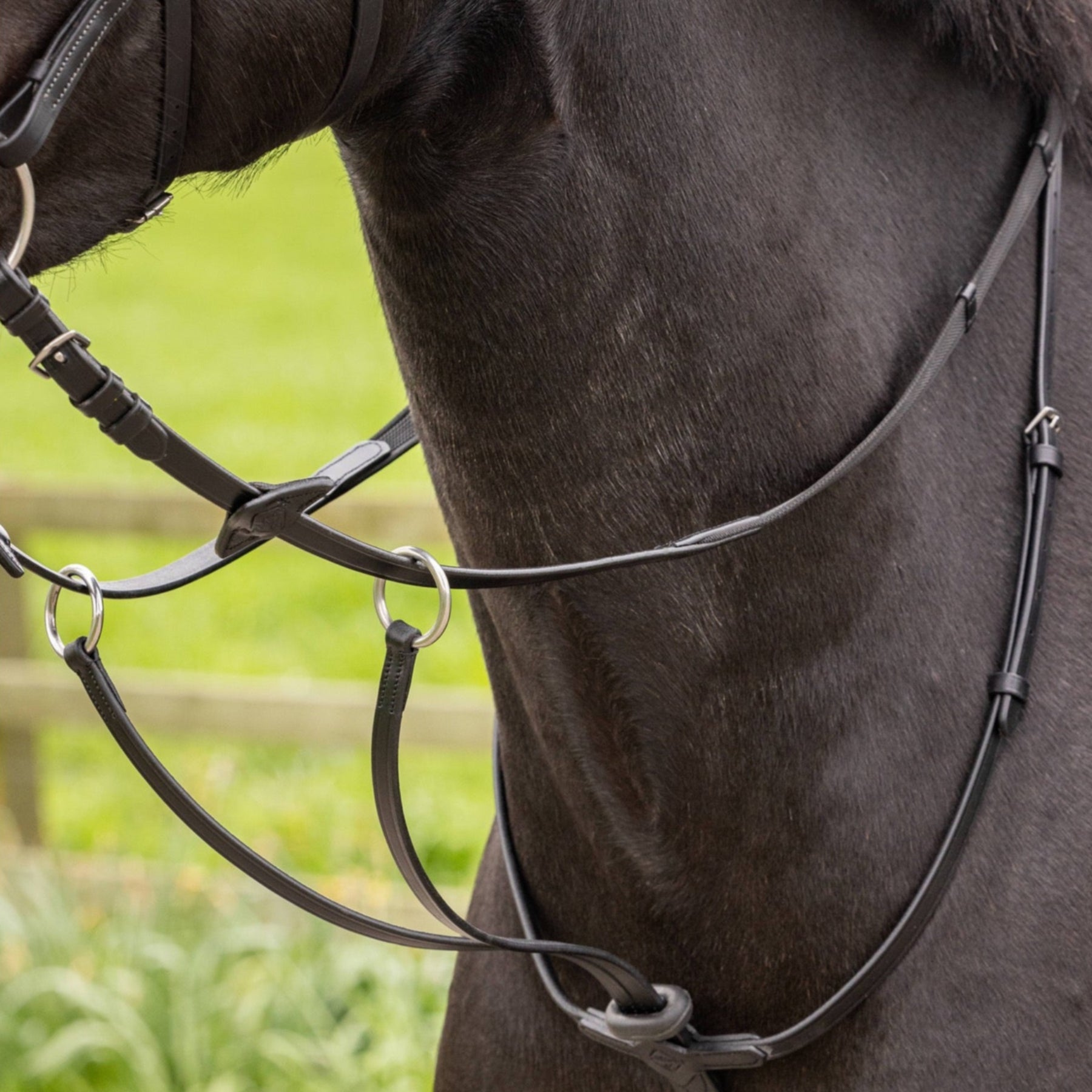 LeMieux Arika Running Martingale, Black/Silver
