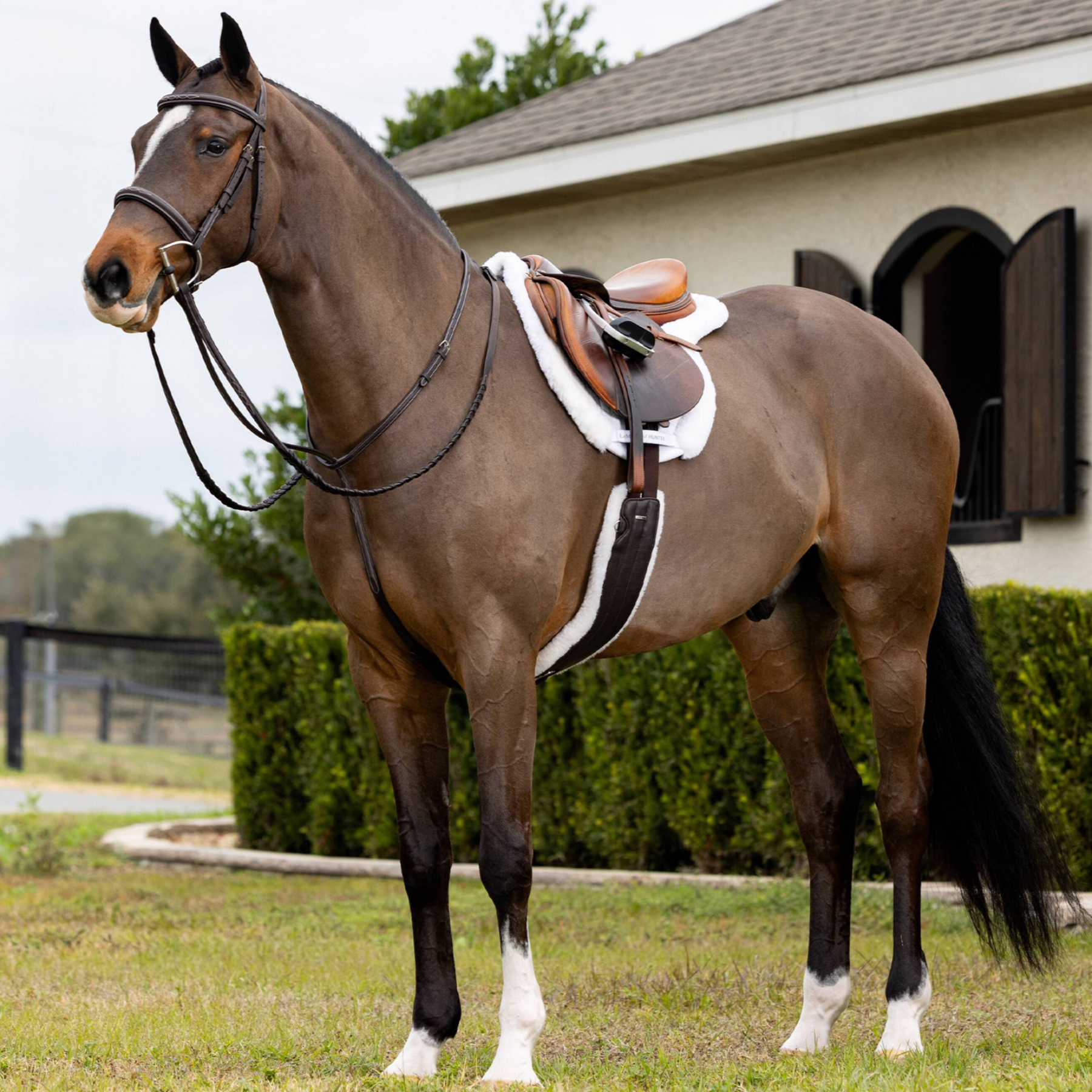 LeMieux Merino Hunter Saddle Pad, White/White