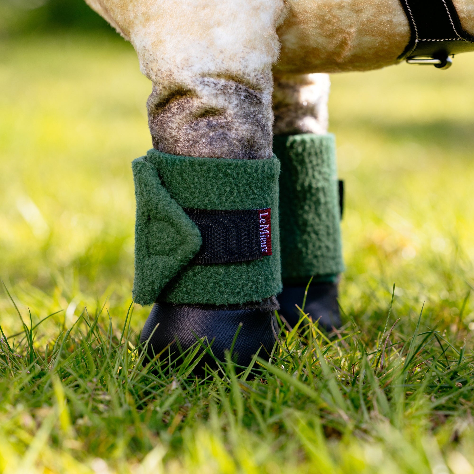 LeMieux Toy Pony Bandages, Hunter Green