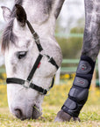 LeMieux Breakaway Halter, Black
