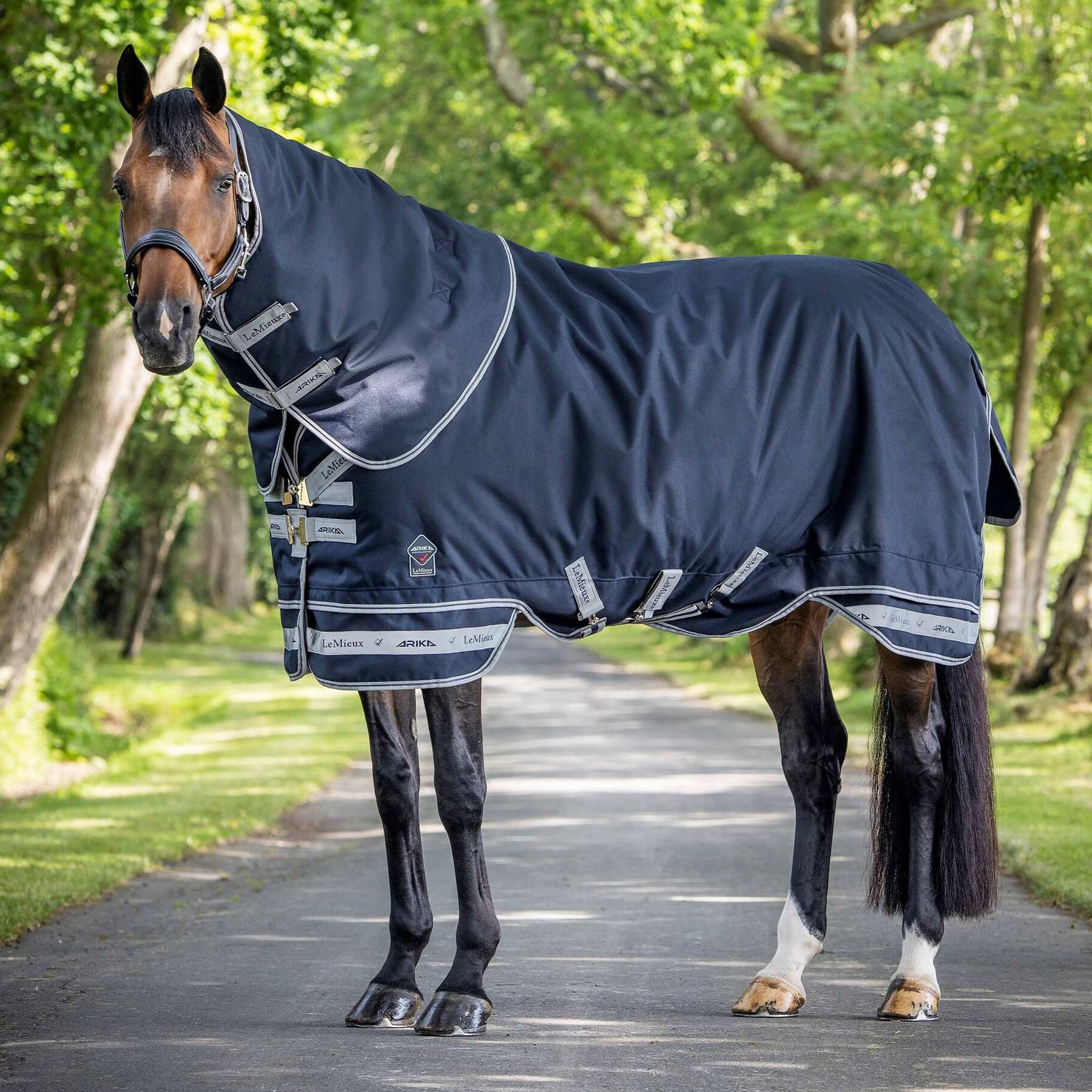 LeMieux Arika Storm-Tek Rug 100g, Navy