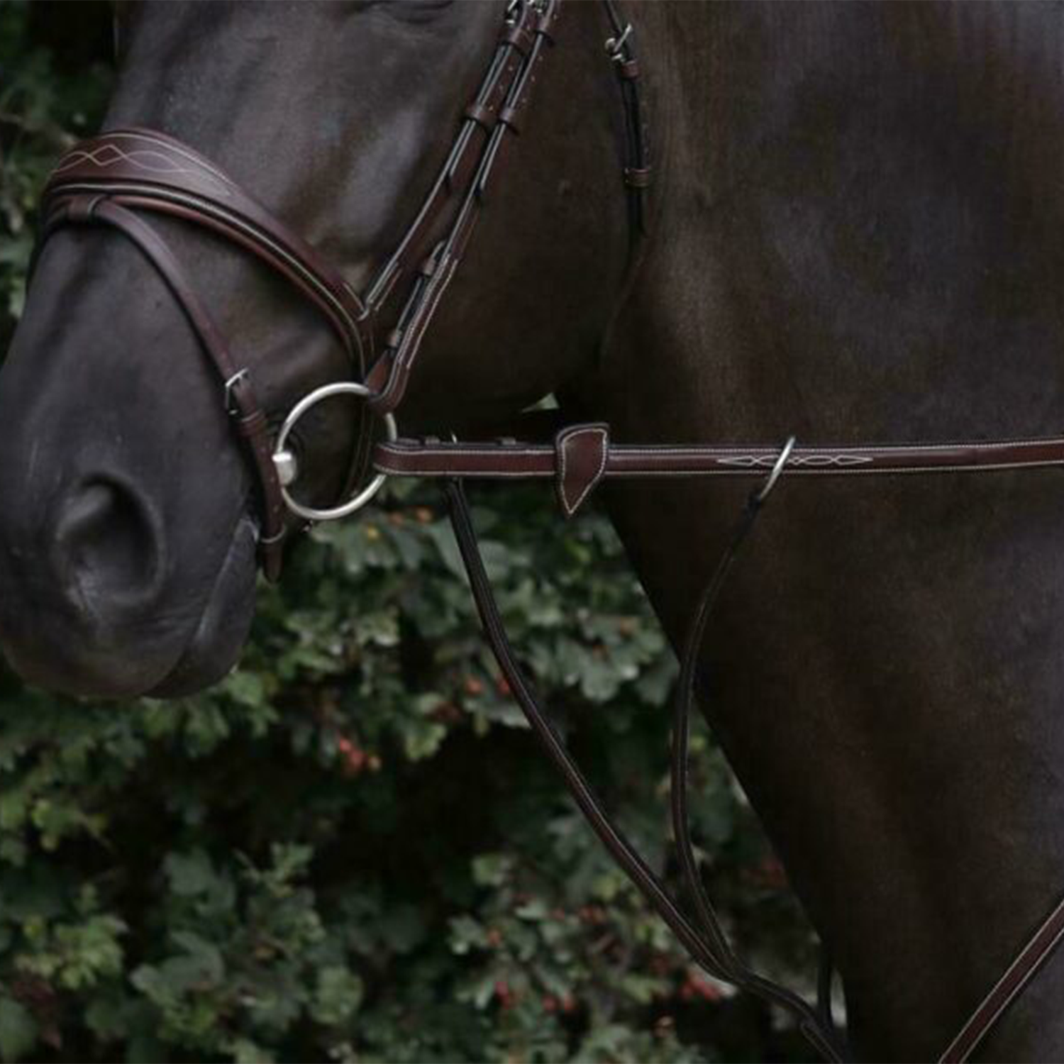 Dy'on 5/8" Rubber Reins, Brown, US Collection