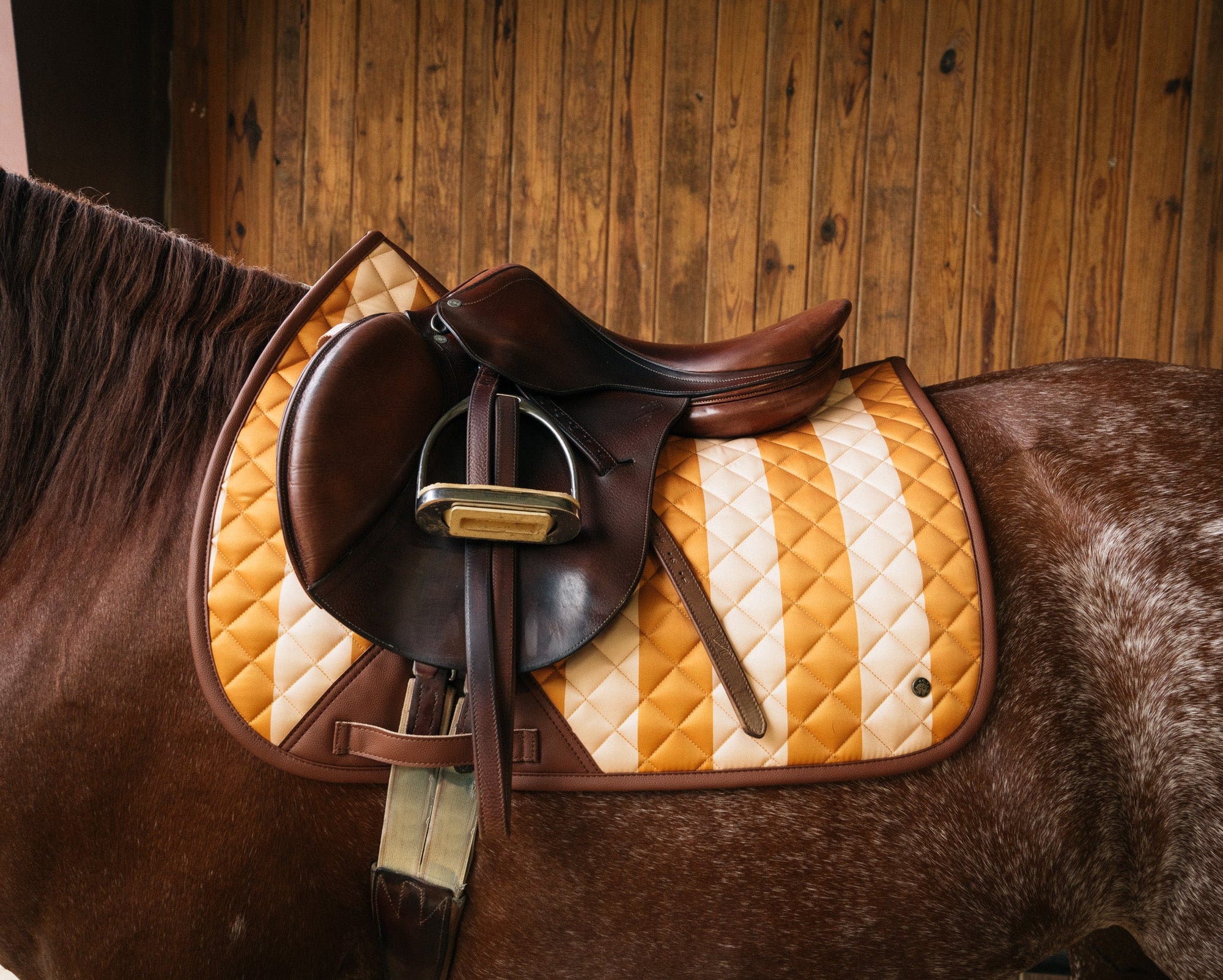 Sixteen Cypress Jumper Pad, Capri Stripe