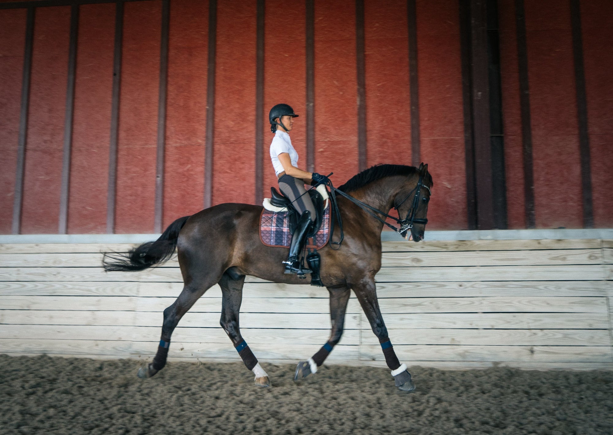 Sixteen Cypress Dressage Pad, Field Plaid & Hickory