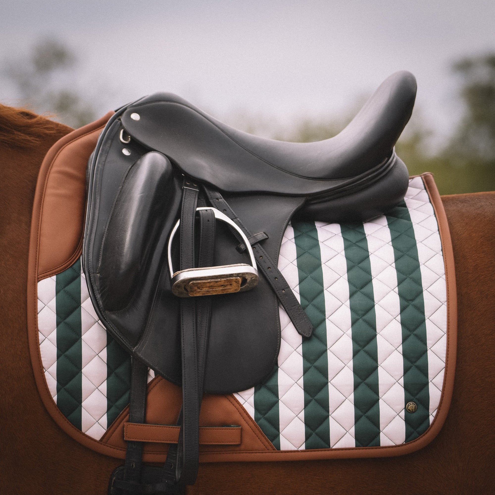 Sixteen Cypress Dressage Pad, Carmel Stripe