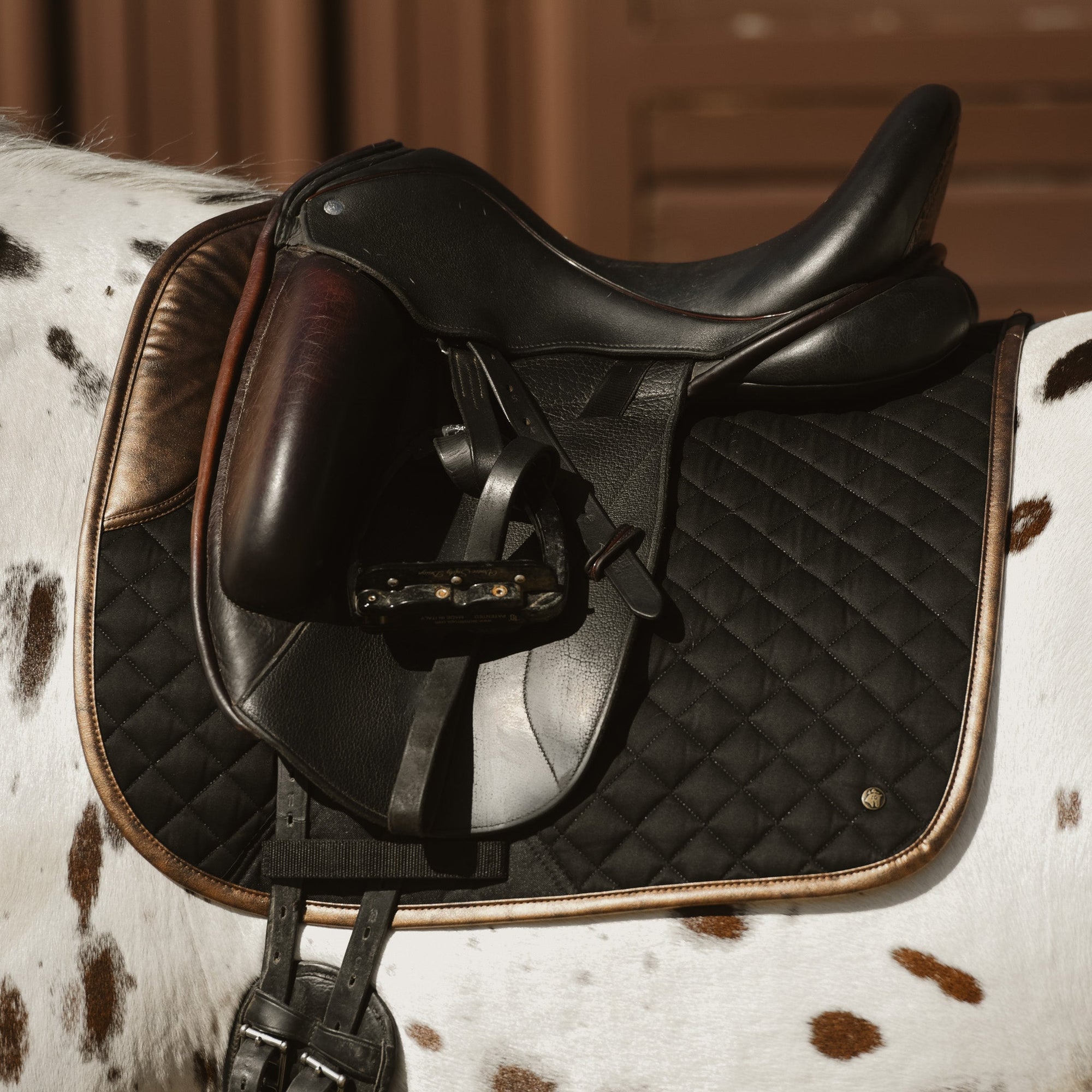 Sixteen Cypress Dressage Pad, Black & Gold Leaf
