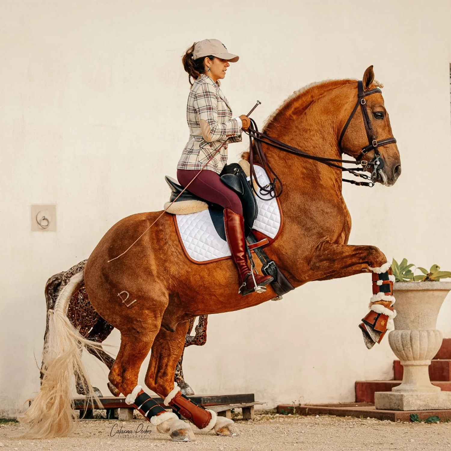 Sixteen Cypress Leatherette Brushing Boots, Cognac