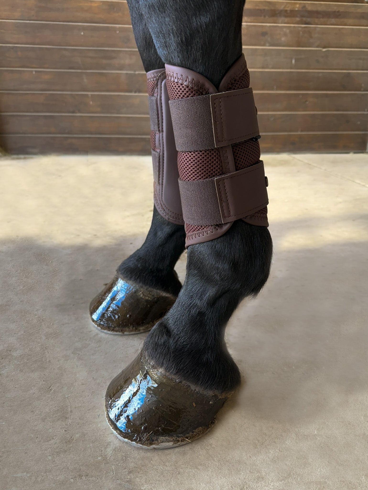 Sixteen Cypress Mesh Sport Boot, Hickory